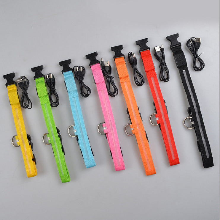 Collar LED para perros