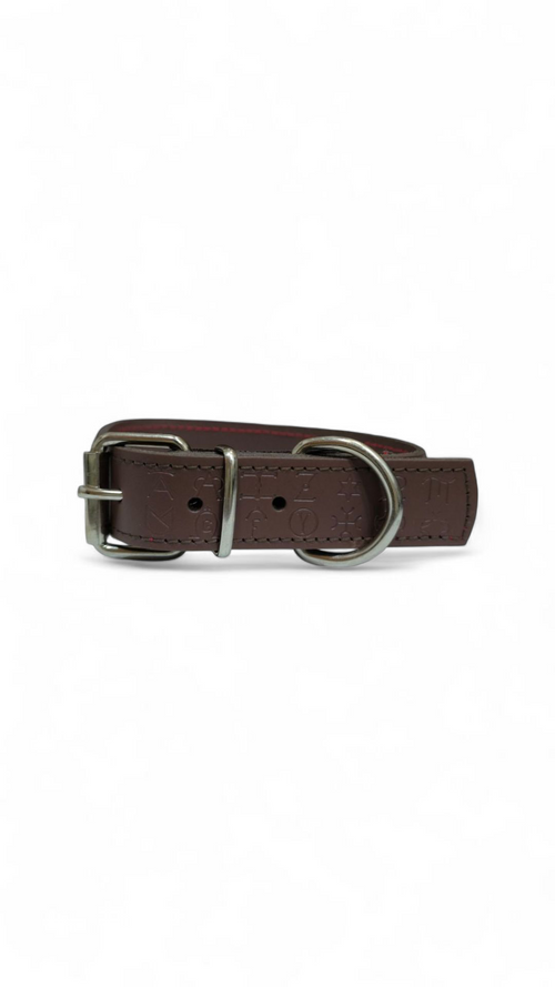 Collar de cuero grabado con su nombre