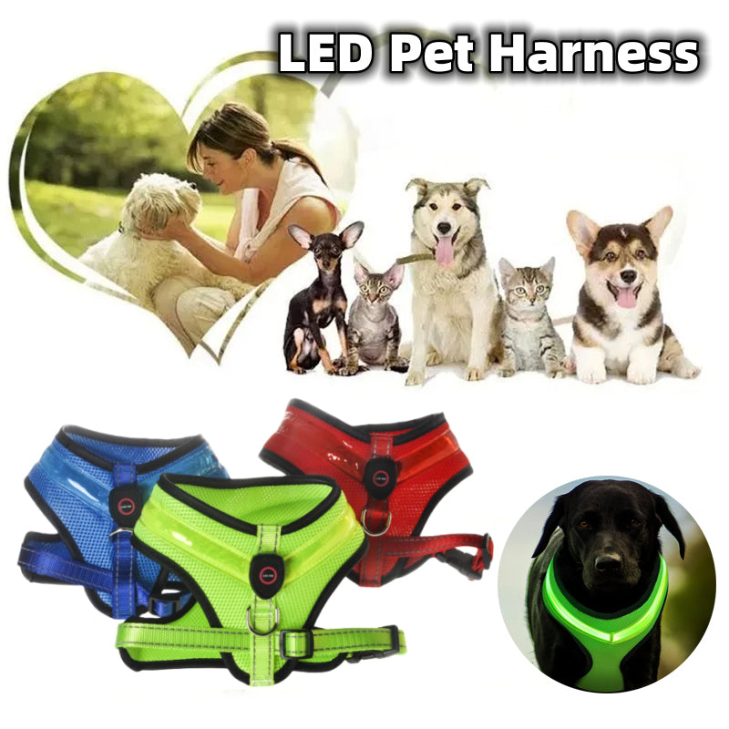 Arnés LED para perros