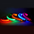 Collar LED para perros