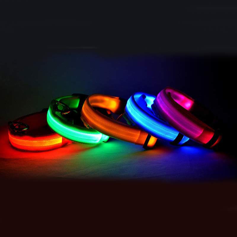 Collar LED para perros