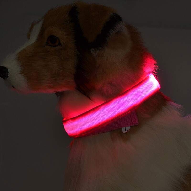 Collar LED para perros