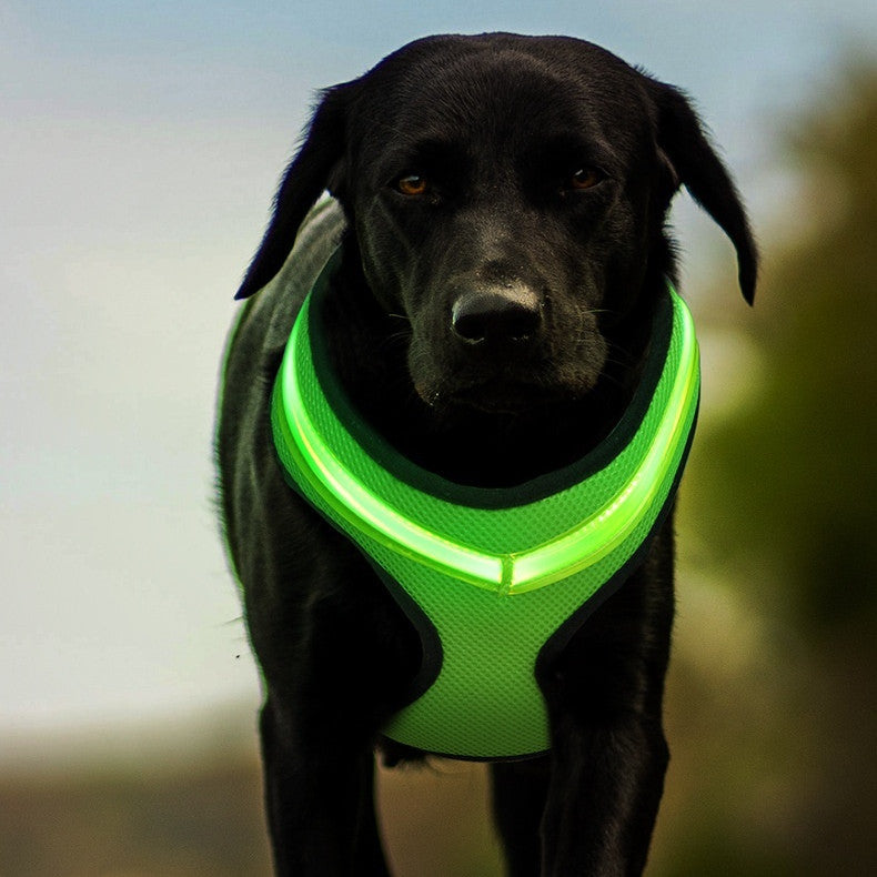 Arnés LED para perros