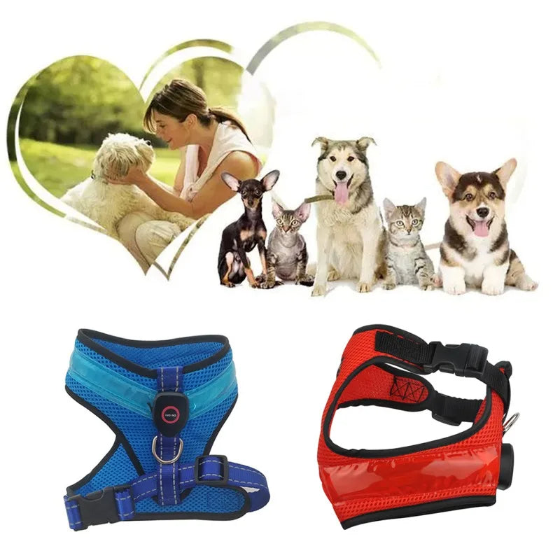 Arnés LED para perros